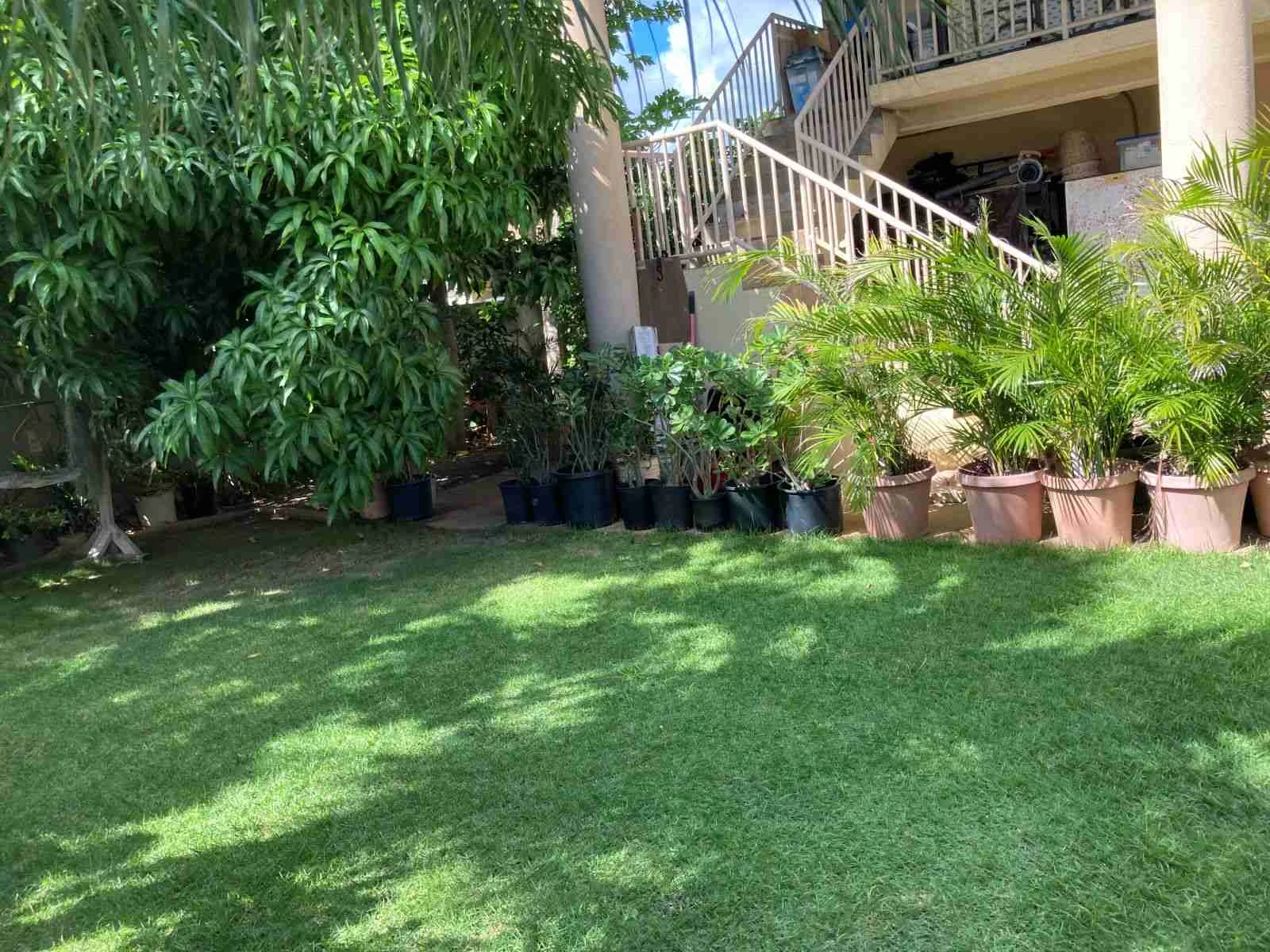 AIEA-1003-01 - Photo 5