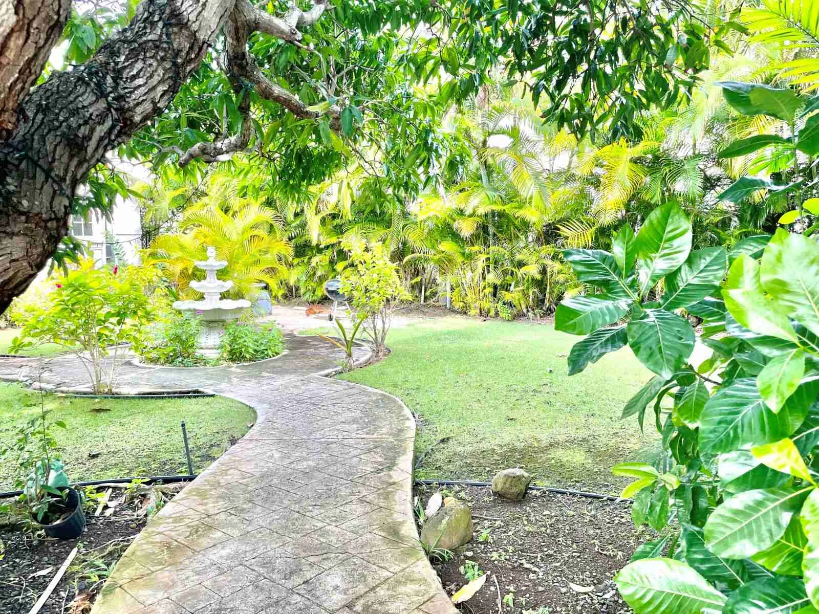 KAIMUKI-1003-01P - Photo 4