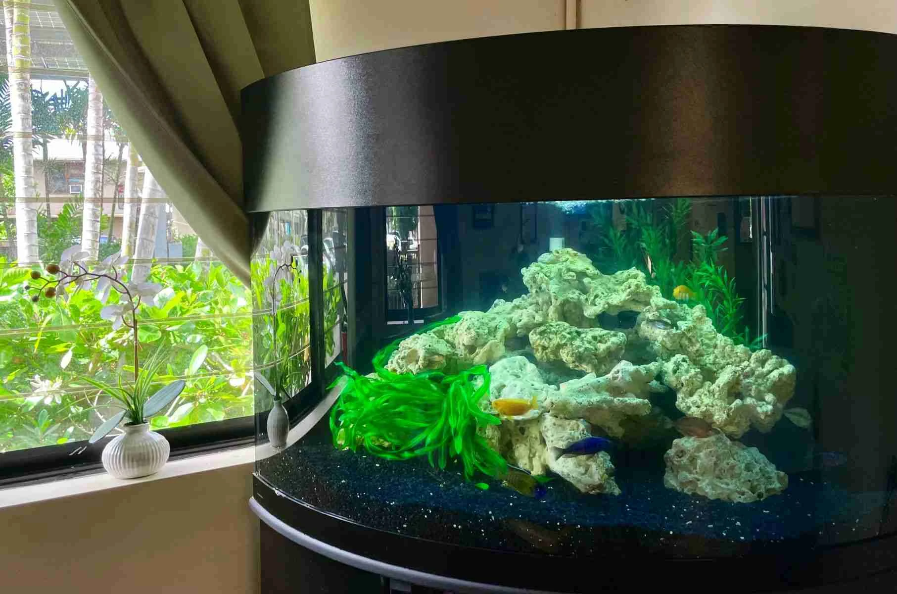 Manoa Cottage Kaimuki - Photo 4