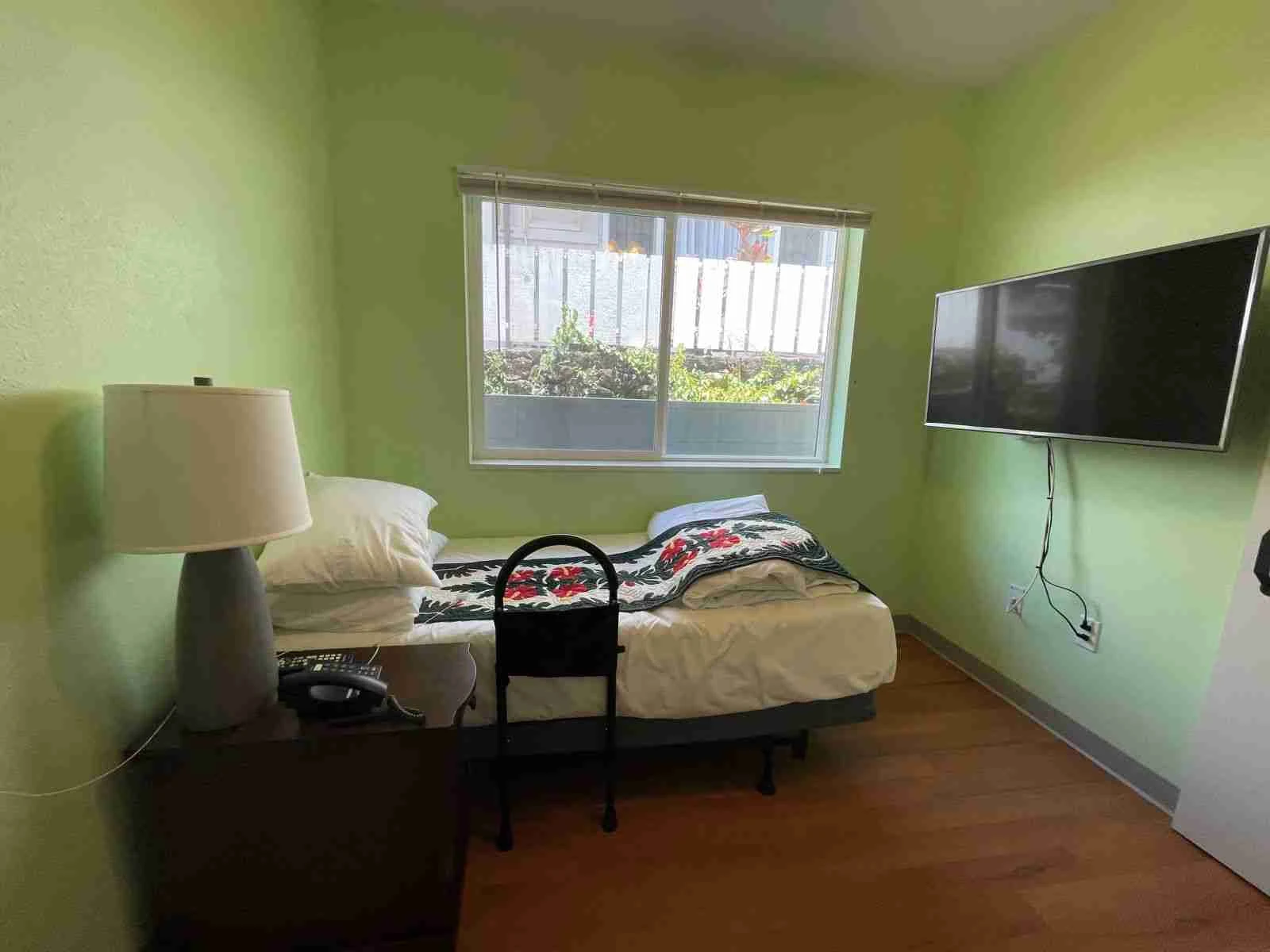 PALOLO-1001 - Photo 2