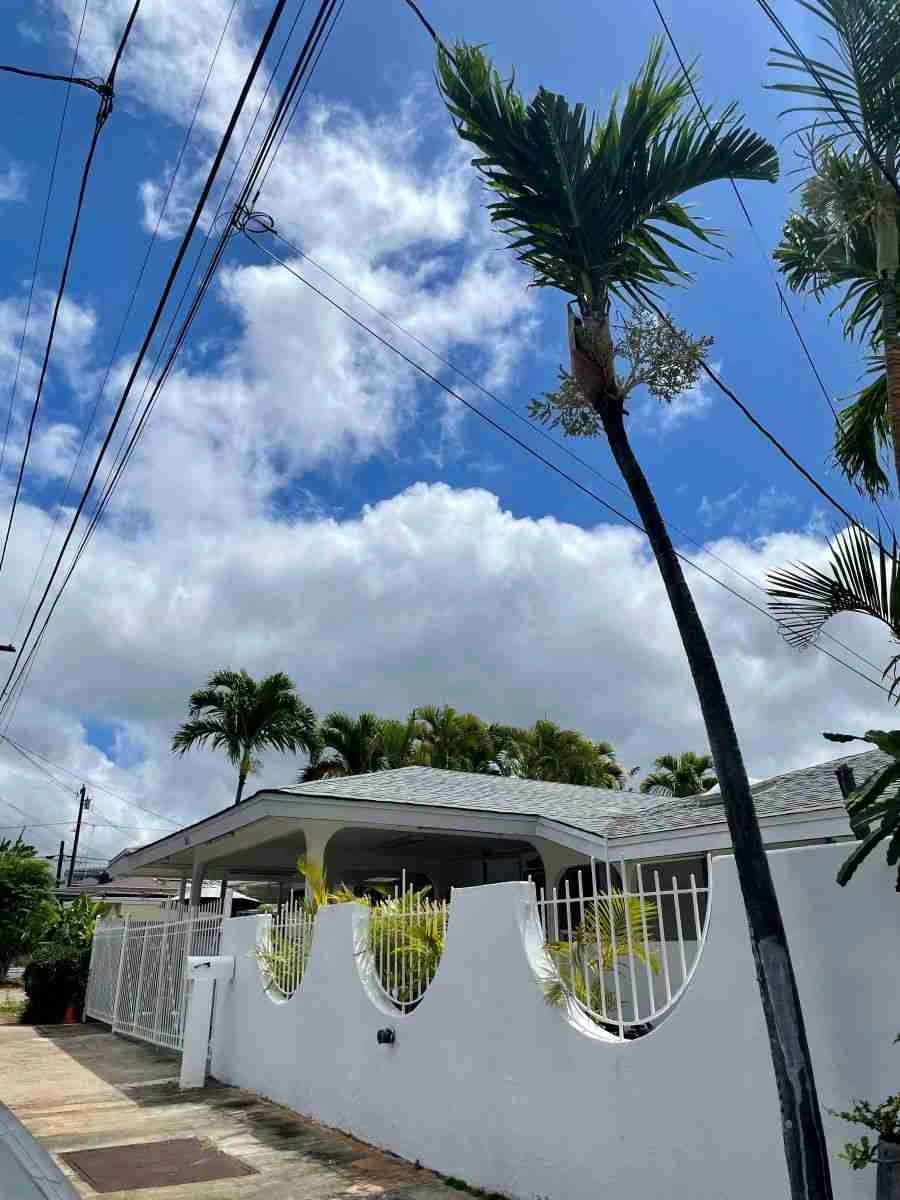 SLAKE-1013 - Photo 2