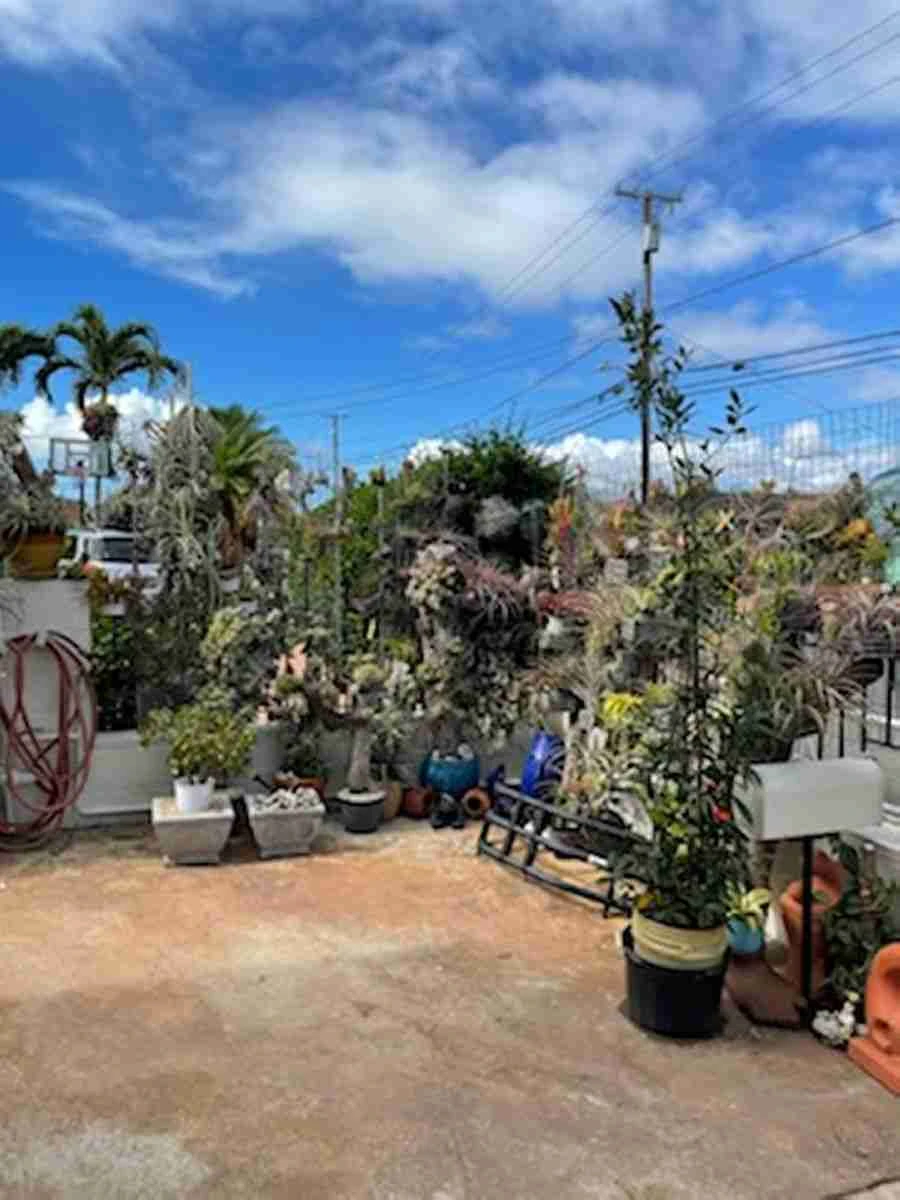 SLAKE-1022 - Photo 2