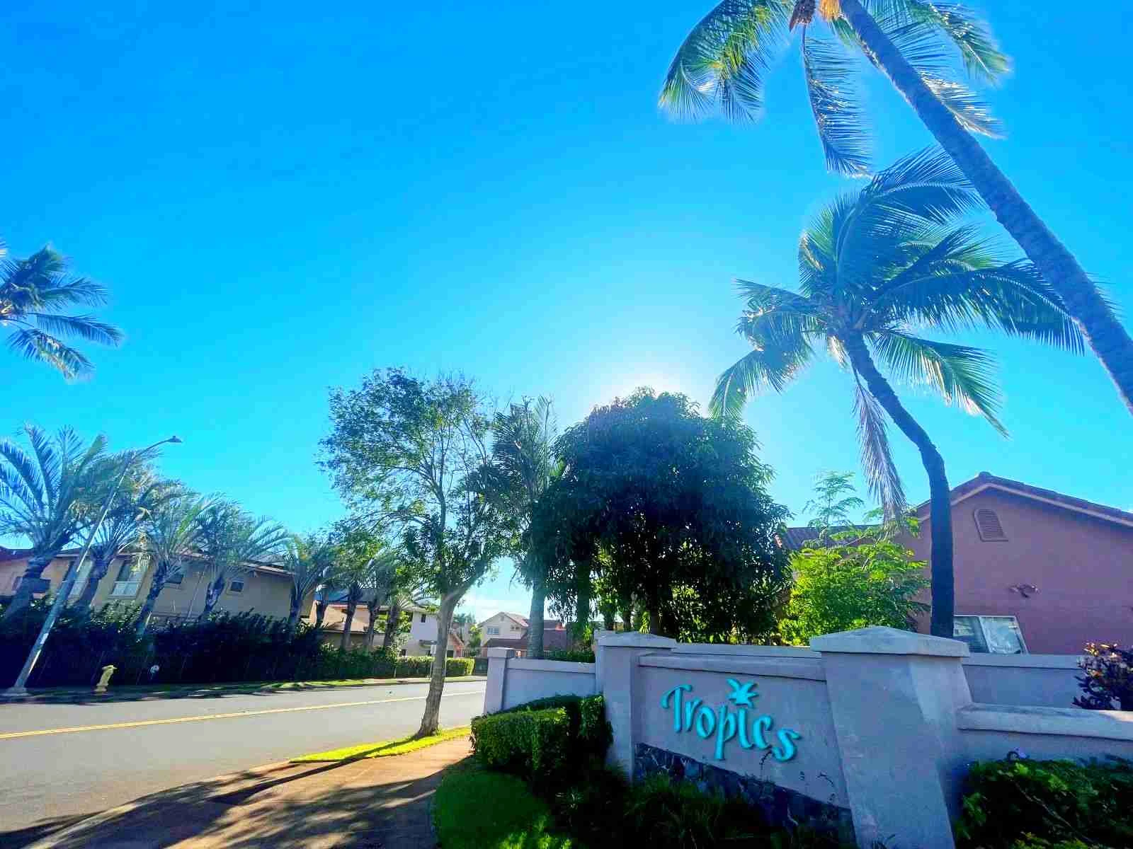 WAIKELE-1001 - Photo 2