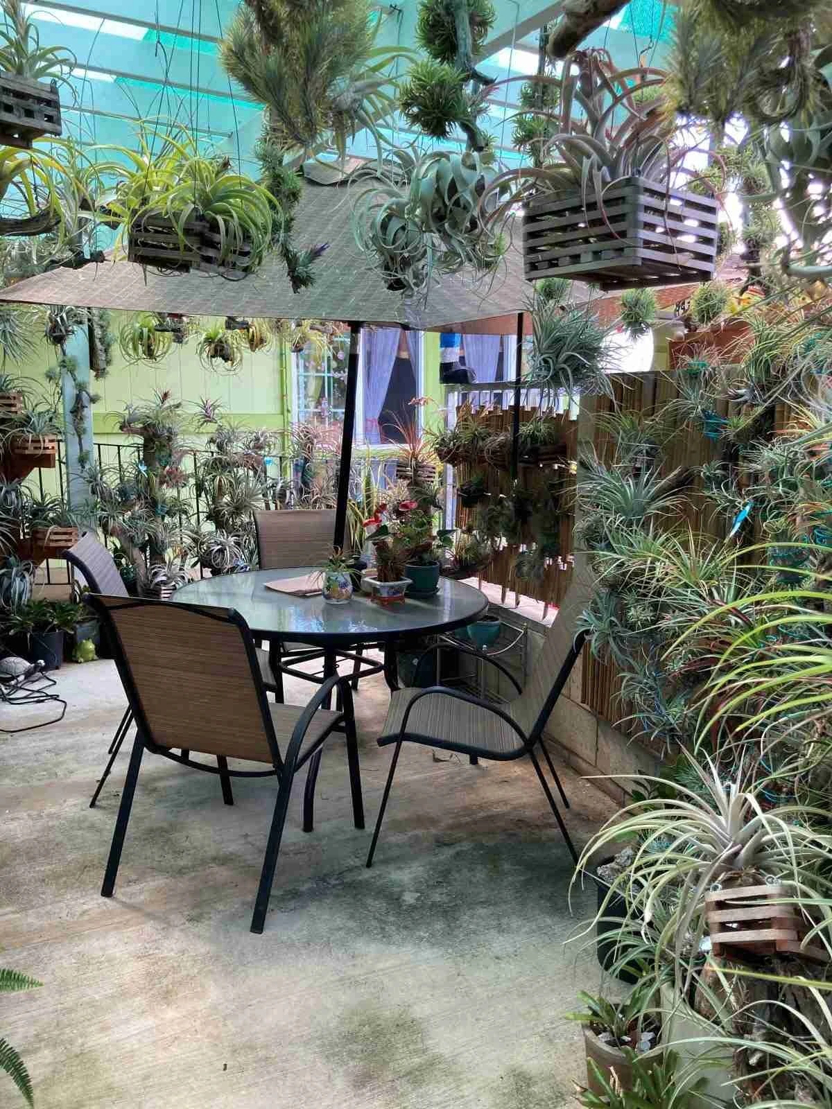 WPHU-1002-02SP - Photo 3